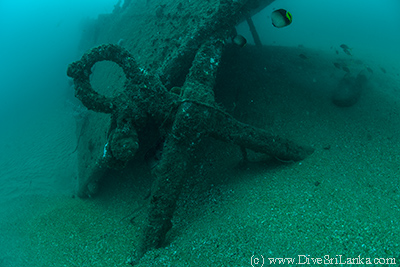 SS Orestes Anchor